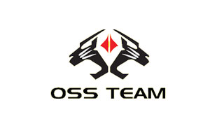 oss team mobile repairing tools